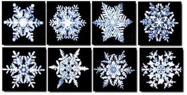 Kar tanelerinin hi biri ayn ekilde deildir.