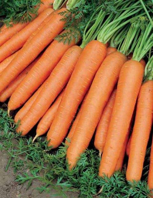 Turuncu olarak bildiimiz havu, bu renge son 100 ylda ulamtr.nceleri morumsu renge sahiptir.