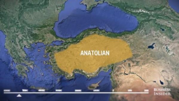 2012 ylnda Auckland niversitesinden evrimsel biolog Dr. Quentin Atkinson Avrupa'daki tm dillerin tek bir yerden ktna dair bir teori yaymlad.