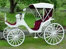 Avrupakari fayton denilen arabalar Trkiye'ye II. Mahmut tarafndan girmiti. Evvelce  bunlara padiahtan bakas binemezken, padiahn seyahatlerinde yaknlar da rahat  etsinler diye onlara da msaade edilmi ve neden sonra herkes binebilmitir.