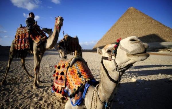 Teorilerini test etmek iin, fizikiler kum bir tepsiye Msr kzan bir laboratuvar versiyonunu yerletirdi.