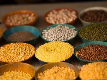 14- Baklagiller Kaliforniya niversitesi'nde yaplan aratrmalar, baklagil tketiminin barsaktan 'kolesistokinin' salglamasn artrdrn gsteriyor. Bu 'kolesistokinin' maddesi itah azaltyor. Fasulye, barbunya bakla gibi baklagiller, kan ekerini az miktarda ykseltiyor, vcuda bitkisel protein ve barsaklarnzn ihtiya duyduu lifleri salyor.