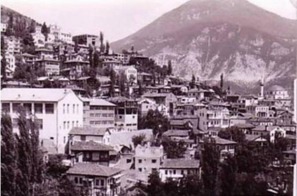Artvin