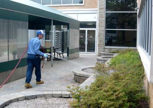 95. Zararllarla Mcadele cisi Yllk gelir: 30 bin 135 Dolar