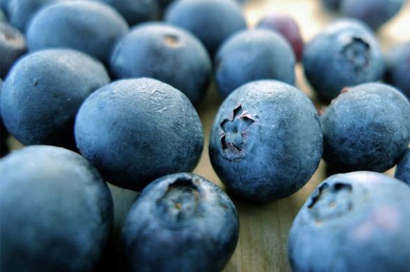 Bir tr polifenol olan antosiyanin, kadnlarda kalp krizi riskini te bir orannda azaltyor. Yaban mersininin kalorisi ise ok dktr.