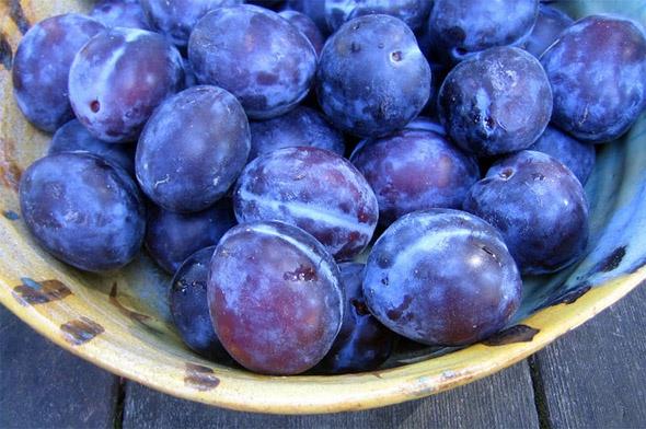 Mavi:    <br>erisindeki polifenoller sayesinde yaban mersininin bilisel ve motor fonksiyonlardaki azalmalar geri evirmeye yardmc olduu belirlendi.