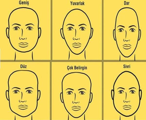 Yuvarlak Aln: dealist, arkada canlsdr.