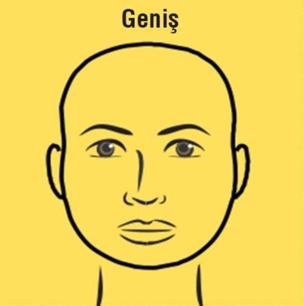 Geni Aln: Akln simgesidir. Zeki insanlardr. Kurnaz olabilirler.