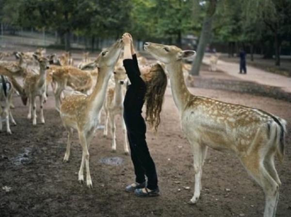 Amelia Forman'n vahi hayvanlarla 12 yllk maceras anne Robin Schwartz tarafndan kitaplatrld.