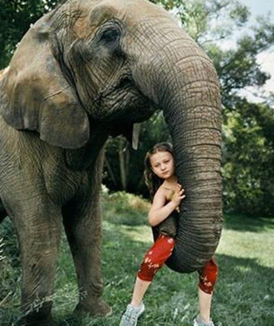 ABD'li Amelia Forman' u anda 15 yanda. Onu nl yapan ey ise annesinin doaya ve vahi hayvanlara olan sevgisi.