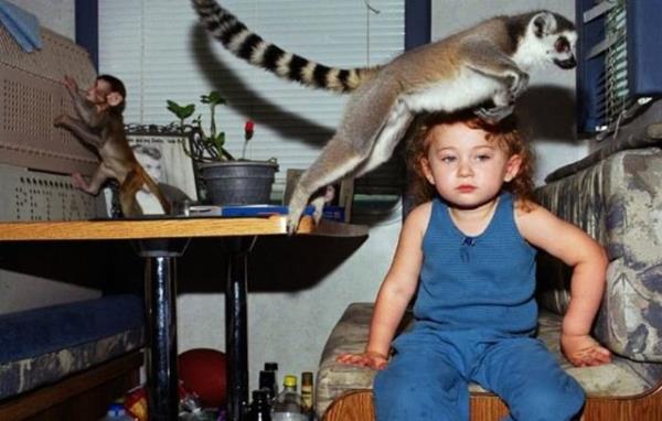 Kitapta, Amelia'nin 3 yandan bu yana hayvanlarla ekilmi fotoraflarna yer veriliyor.