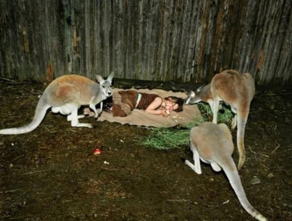 Schwartz tam 12 yldr kznn vahi hayvanlarla birlikte fotorafn ekiyor.