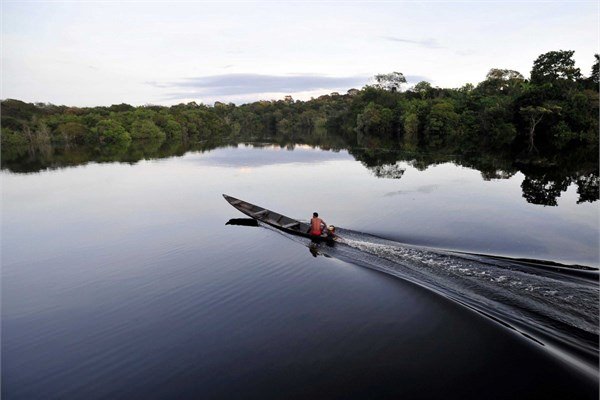Amazon Nehri - Gney Amerika