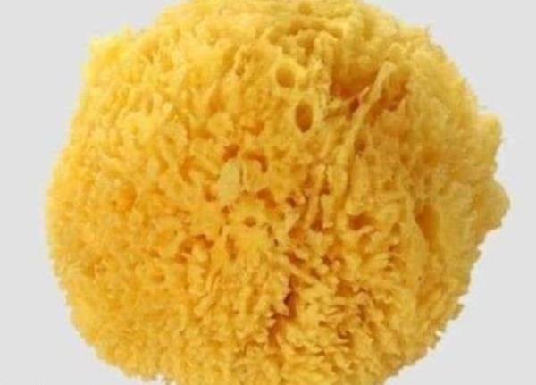 Odaya sinen sigara kokusuna kar; Odanzn baz kelerine slak bir snger koyun. Islak snger tm sigara kokusunu alacaktr.