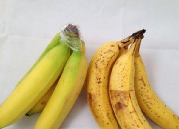 Muzun daha uzun sre dayanmas iin koparld yere plastik sarmanz yeterlidir.