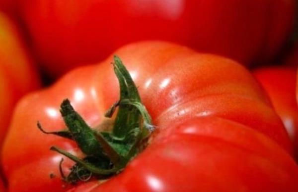 Gnlk yaantnzda ilerinizi kolaylatrmak isteyenler iin birbirinden pratik bilgileri derledik. te hayatnz deitirecek o bilgiler... Domateslerin abuk rmesini nlemek iin koparlan ksmlarnn aada kalmas gerekir.