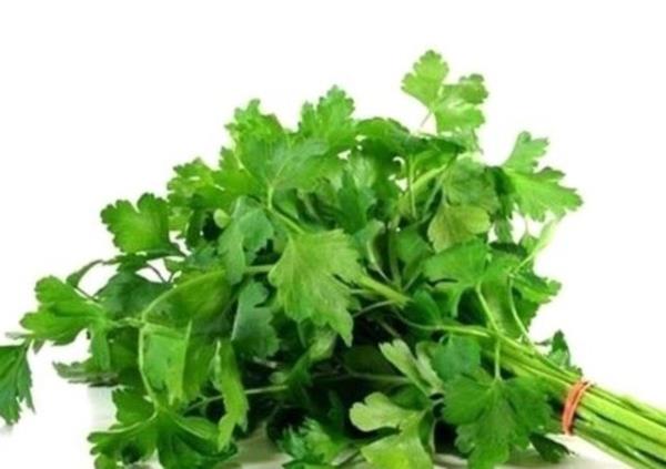 Eer ana yemeinizin yannda maydanoz varsa onu mutlaka tketin. nk maydanoz nefesi annda yenileyici zel kimyasallar ierir.