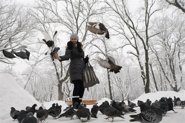 <p><b>Ukrayna</b></p>    irket adna alan banka hesabnda 100 bin dolarla snrsz oturum hakk alnyor.