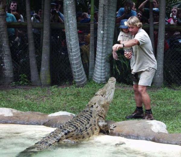 Steve Irwin, 2006 ylnda dal seferi srasnda bir vatoz tarafndan gsne lmcl darbe alp yaamn yitirmiti.