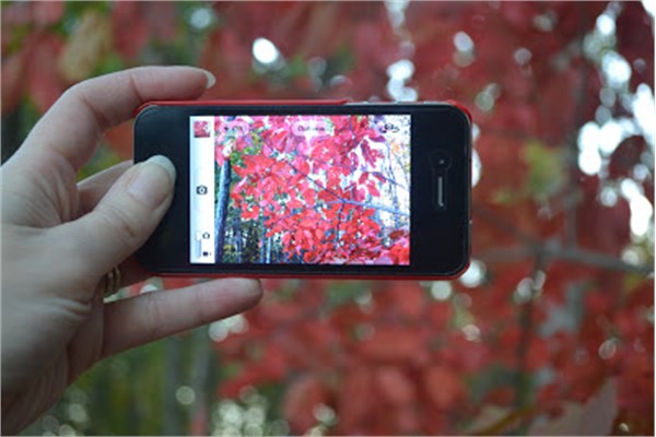 Dijital fotoraf makinesi. nsanlar artk ounluklar cep telefonlarnn kameralarn kullanyorlar.