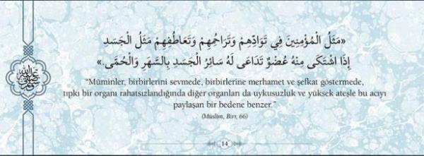 "Mminler, birbirlerini sevmede, birbirlerine  merhamet ve efkat gstermede, tpk bir organ  rahatszlandnda dier organlar da uykusuzluk  ve yksek atele bu acy paylaan bir bedene  benzer." (Mslim, Birr, 66)