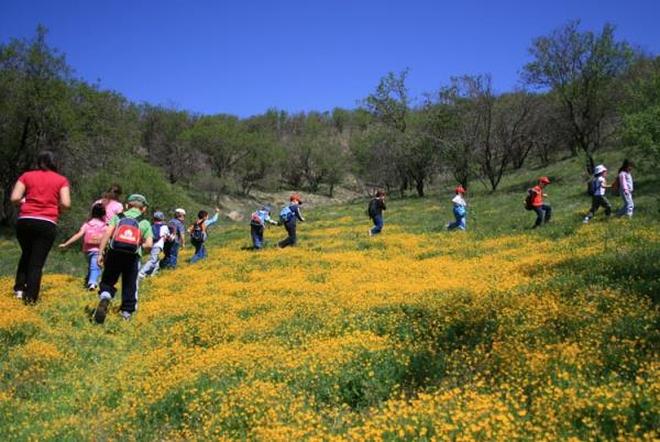 40. Doada gece yry gerekletirmek