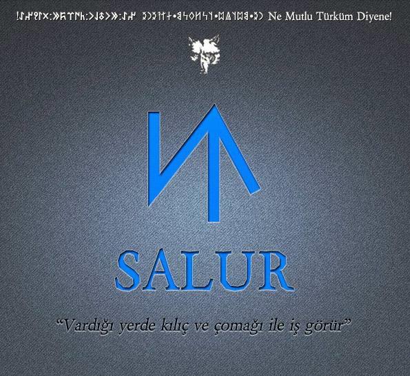 17- SALUR  <br>  Salur - Antalya-Elmal Salur - Antalya-Kumluca Salur - Antalya-Manavgat Salur - Bolu-Gerede Salur - ankr-Orta Salur - orum-Seydim Salur - ErzincanRefahiye-Akarsu Salur - Isparta-arkikaraaa Salur - Kayseri-Gneli Salur - Karaman Salur - Yozgat-Sorgun Salur - Manisa-Grdes Saluriftlii - " " Salur - Samsun-Ladik Salur - Tokat-Artova Salur - Tokat-Zile-Boztepe