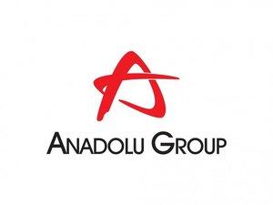 2- Anadolu Grubu<br>      alan Says (29.000) Faaliyette bulunduu sektrlerin eitlilii sebebiyle,iletme, ekonomi, endstri mhendislii blmlerinden psikoloji, ziraat mhendislii, ve hemirelik blmlerine kadar pek ok farkl blmnden alm yaplyor.    Anadolu Grubu iretlerinde C seviye pozisyonlarnda ise ounlukla stanbul niversitesi,Boazi niversitesi, stanbul Teknik niversitesi, Ortadou Teknik niversitesi mezunlar yer alyor.