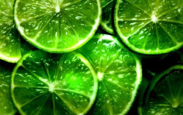 HAREKET ORGANLARI:  <br>    Onun ya, geveklie iyi gelir; eer ya kabuundan ayrlrsa, felce iyi gelir ve ekisi sinirlere zararldr.