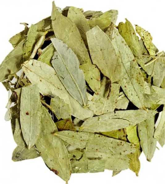 Sinameki<br>  Ar dozda sv dengesizliine yol aabileceinden dikkatli kullanlmaldr. Barsak tkanklnda, iltihapl barsak hastalklarnda apandisitte ve elektrolit eksikliinde kullanlmamaldr.