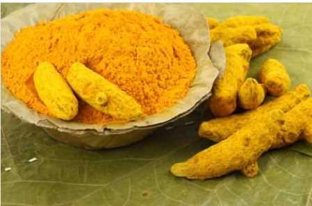 Zerdep<br>  Safra kanal tkanklklarnda kullanlmaz. Safra ta olmas durumunda doktor kontrol gerektirir. Mide lserinde kullanlmaz.