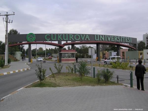 22   -    CUKUROVA UNIVERSITESI   -    43,13