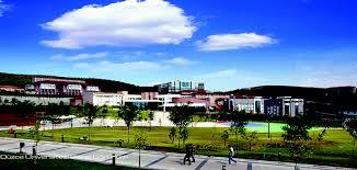 38-       DUZCE UNIVERSITESI   -    34,08