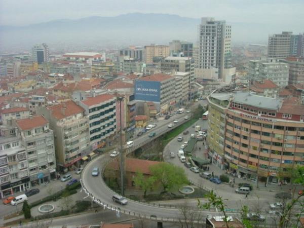 Bursa