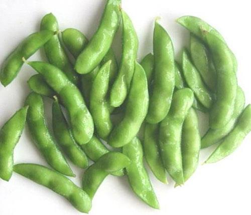 SOYA FASULYES:  <br>  Etkisi "izoflavon" ieriine bal. Gnde 40 gram soya proteininin diz kirelenmesi olanlarda ar ve hareket kstlln azaltt bildiriliyor. zellikle erkeklerde ok etkili