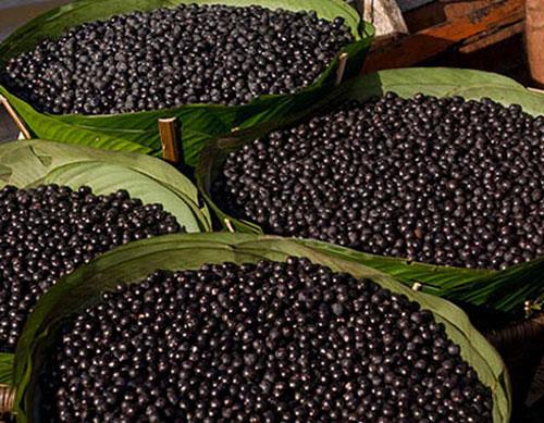 ACA LE:  <br>  Antioksidan ve Omega-3&#8217;den zengin. Kirelenme ve ar zerine etkileri allyor