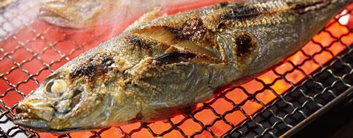 BALIK:<br>    Bata somon olmak zere yal balklarn Omega-3 ierikleriyle arlar azalttklar belirtiliyor. Haftada 2-3 kez yemek yeterli