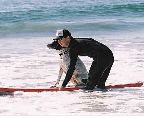 Kpekler in Srf Eitmeni