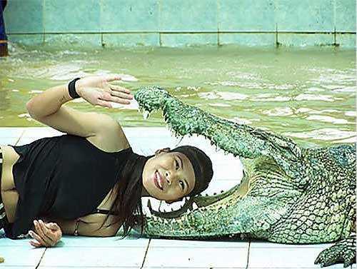 Safari Park Elendirme Elemen