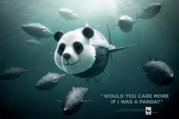 Dikkat ekme ustas olan reklam ajanslarnn son almalar olduka ses getirecek nitelikte.