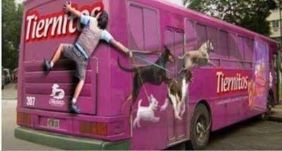 Dikkat ekme ustas olan reklam ajanslarnn son almalar olduka ses getirecek nitelikte.