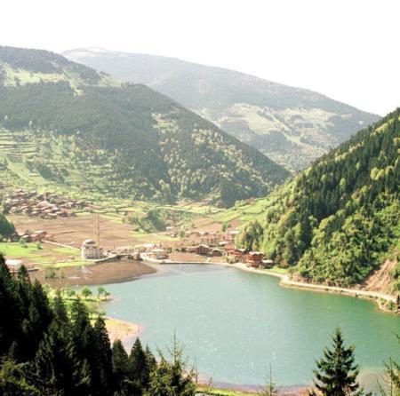 <p><b>TRABZON</b></p>  26 yabanc 58 gayrimenkul satn ald