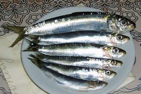 3.Haftada iki kez sardalya yiyin.