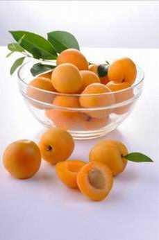 - Kay�s�, sindirim sorunlar�na iyi gelir, stresi ve kans�zl��� �nler, cilt bozukluklar�n�n tedavisinde etkilidir, b�y�meye yard�mc� olur, g�rmeyi g��lendirir, ba����kl�k sistemini korur, kalp kaslar� ve sinirlerin iyi �al��mas�n� sa�lar.