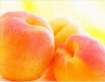 - Kay�s�; cildi, korur ve g�zelle�tirir.<br>    - Kay�s�; i�tah a�ar, kan yapar, bedensel ve ruhsal yorgunluklar� al�r.