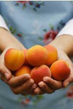 - Ac� kay�s� �ekirde�inden vitamin B17 �retmek �ok kolay i�, fakat bakanl�k tan�m�n� hen�z yapmad��� i�in �lkemiz her y�l �ok miktarda para kaybediyor.