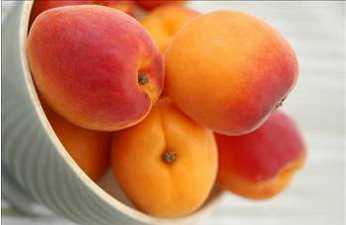 - Kay�s�; i�eri�inde bulunan antioksidanlardan karotenoidler (betakaroten) ve fenolik bile�ikler (Prosiyanidinler, hidrosinamik, asit t�revleri, flavonoller ve antisiyaninler) ile; kanser, kalp damar hastal�klar�, diyabet, iltihapl� durumlar ve katarakt�n �nlenmesinde ve korunmada yararl�d�r.