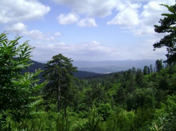 Tarih, oksijen ve trekking! anakkale ve Balkesir arasnda bulunan Kazdalar, yemyeil doas, tarihi kalntlar, dereleri ve elaleleriyle grlmeye deer bir belde.