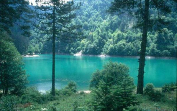 Doann kucanda bir d Bolu'nun yanbanda kvrla kvrla kan bir yolla ulalan Glck, bir minyatr gl olarak karnza kyor. Daha byk bir glun yer ald Abant ise, keyifli bir yry yapmak, pedal evirmek, fayton gezintisine mak iin ideal...