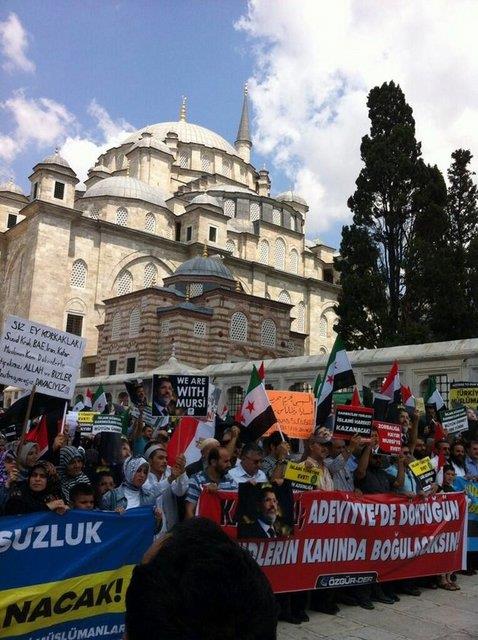 Trkiye'de Msr protestolar